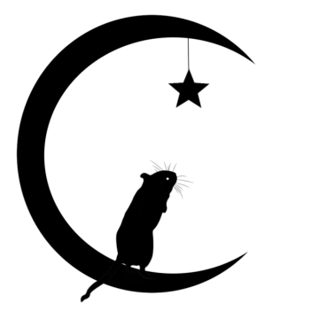 a black and white silhouette of a cat sitting on the moon