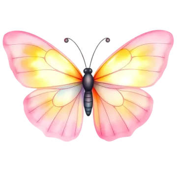 a pink butterfly on a white background