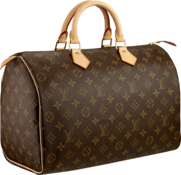 a brown and tan louis vu bag