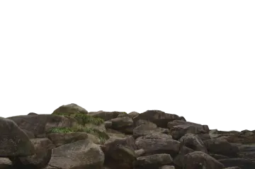 rocks on the ground
