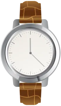 a watch with brown leather strap