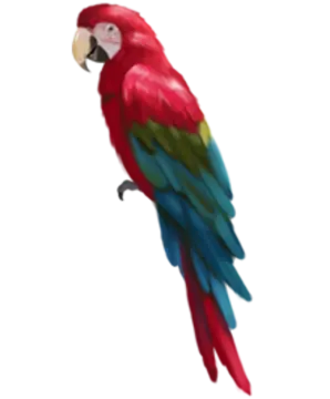 a red parrot sitting on top of a tree branch