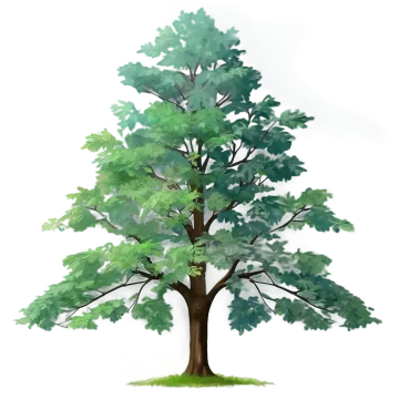 a watercolor drawing of a tree with green leaves