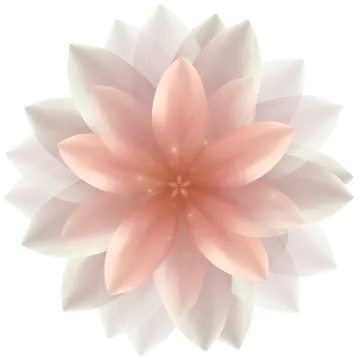 a pink flower on a white background