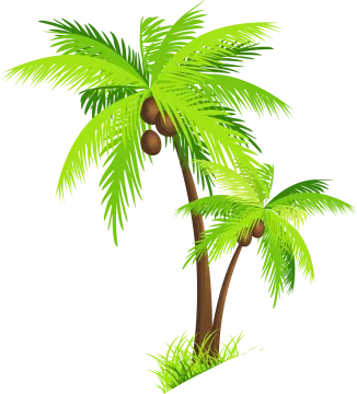 two palm trees on a white background