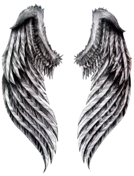 a pair of black angel wings