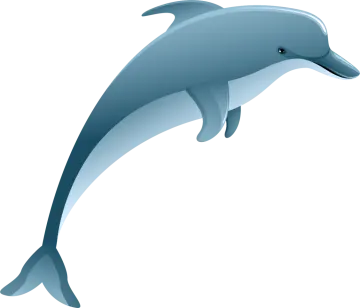 a dolphin jumping out of the water