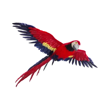 a red and yellow parrot flying in the air
