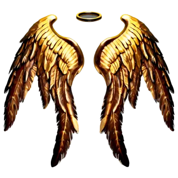 a pair of gold angel wings