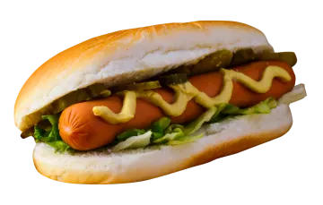a hot dog on a bun