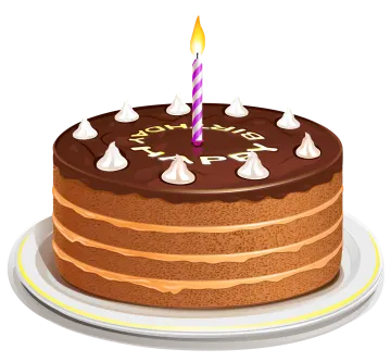 a cake with a lit candle on top