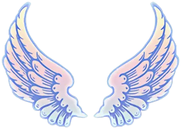 a pair of angel wings