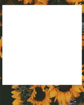 a square frame with sunflowers on it