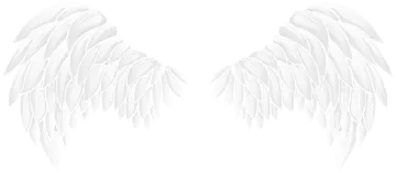 two white wings on a white background