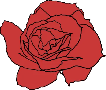 a red rose on a white background