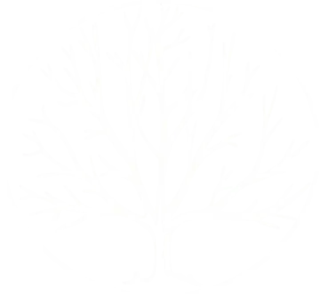 a black and white drawing of a tree