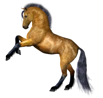 a horse is jumping in the air