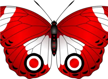 a butterfly with red and white wings