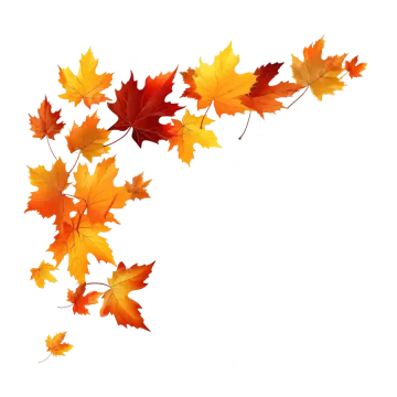 an image of a bunch of autumn leaves