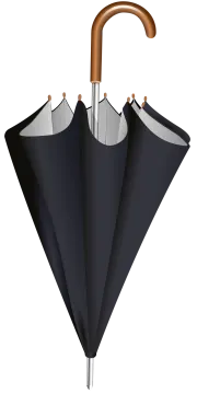 a black umbrella with a wooden handle