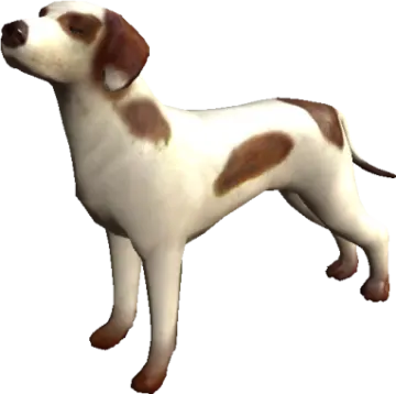 a brown and white dog standing on a white background