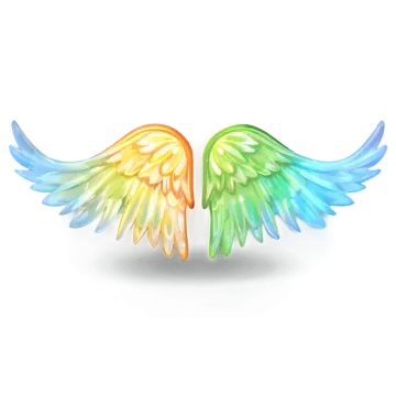 a pair of colorful wings