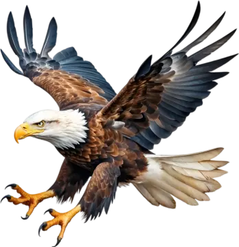an eagle in flight with its wings spread