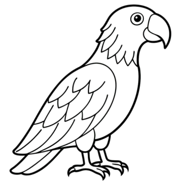 a black and white drawing of a parrot