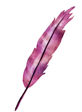 a purple feather on a white background