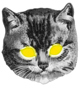 a black and white cat with yellow eyes