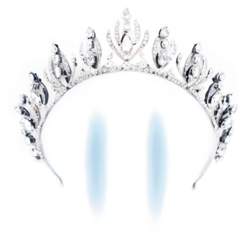 a silver tia with crystals and leaves