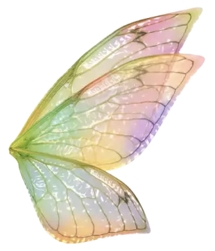 a close up of a butterfly wing