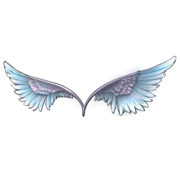 a pair of wings on a white background