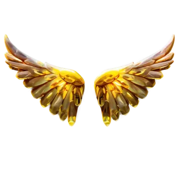 a pair of wings on a white background