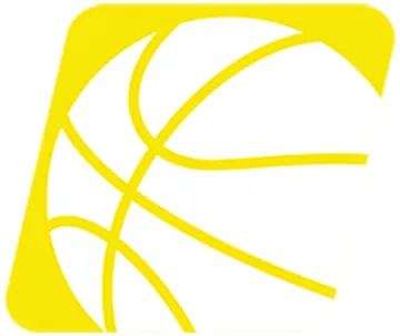 a basketball ball on a white background