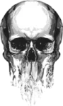 a black and white image of a skull