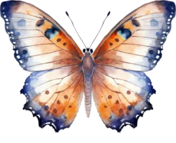 a watercolor painting of a butterfly