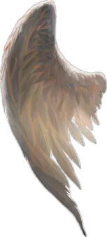 a drawing of an angel's wing