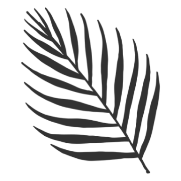 a black and white palm leaf