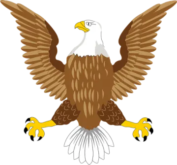 an eagle with its wings spread out