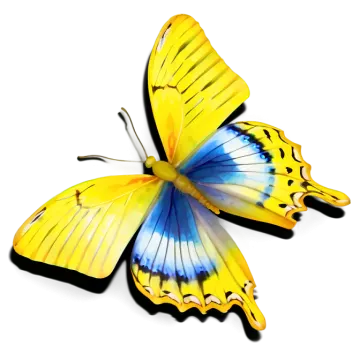 a yellow butterfly with blue and yellow wings