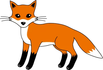 an orange fox with a black tail