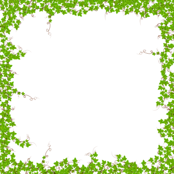 a green ivy frame on a white background