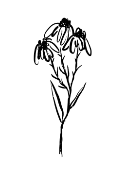 a black and white drawing of a flower