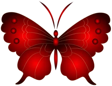 a red butterfly on white background