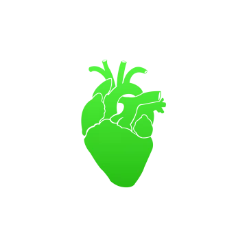a green heart on a white background