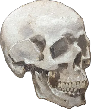 a watercolor painting of a skull