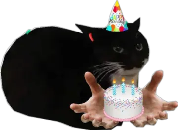 a cat that is holding a birthday cake