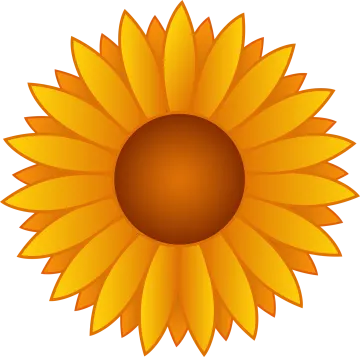 a yellow sunflower