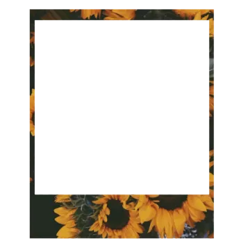 a square frame with sunflowers on it